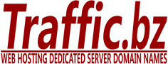 Traffic.bz Web Hosting Domain Names